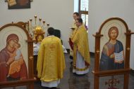 DSC 0008.JPG